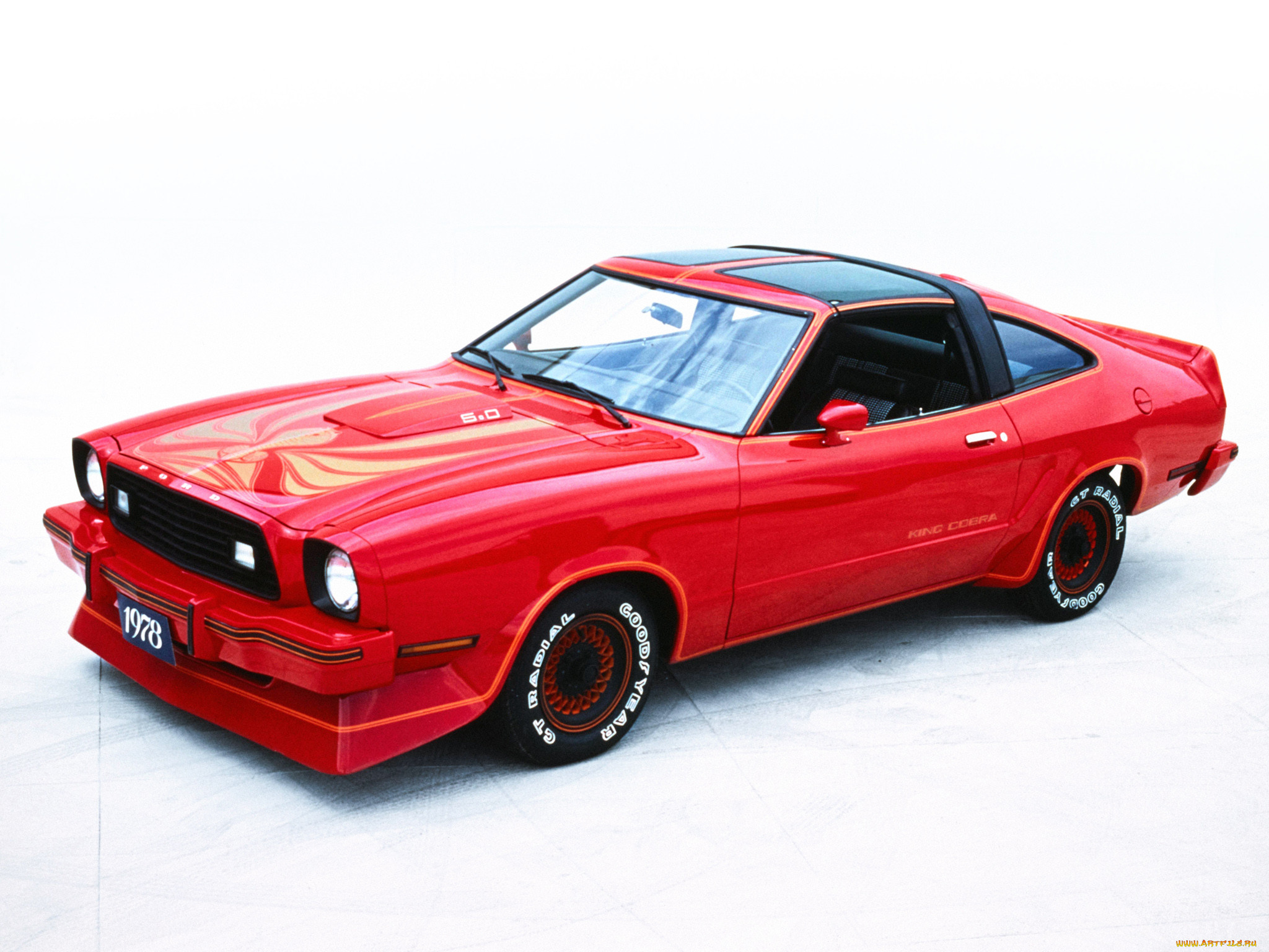 , mustang